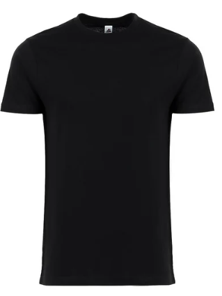 Black Tee